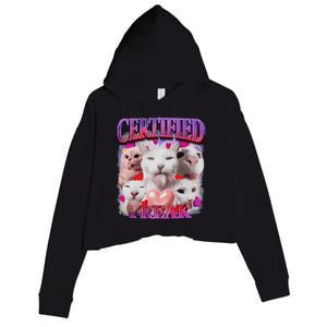 Meme Cat Certified Freak Eat Cement Cursed Cat Funny Crop Fleece Hoodie