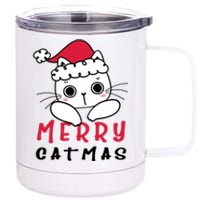 Merry Catrmas Cute Christmas Santa Kitty Xmas 12 oz Stainless Steel Tumbler Cup