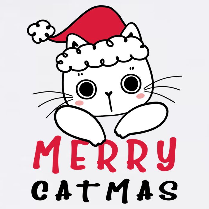 Merry Catrmas Cute Christmas Santa Kitty Xmas Women's V-Neck T-Shirt