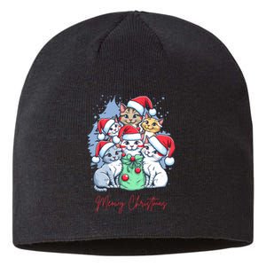 Meowy Christmas Cat Lover Holiday Sustainable Beanie