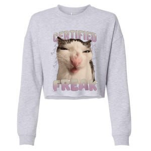 Meme Cat Certified Freak Eat Cement Cursed Cat Funny Cropped Pullover Crew