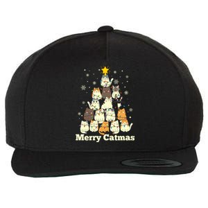 Merry Catmas Cat Lover Christmas Long Sleeve Wool Snapback Cap