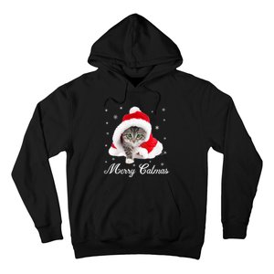 Merry Catmas Cute Cat Kitten Santa Hat Christmas Gift Funny Hoodie