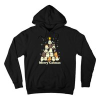 Merry Catmas Cat Lover Christmas Long Sleeve Hoodie