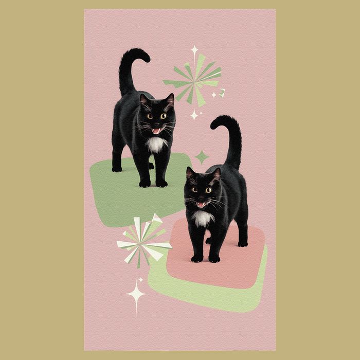 Mid Century Cats Atomic Cat Retro Pin.K 50s 60s Button