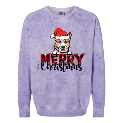 Merry Christmas Corgi Dog Christmas Red Plaid Santa Hat Xmas Gift Colorblast Crewneck Sweatshirt