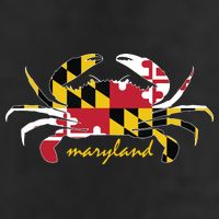 Maryland Crab Cute State Pride Flag Adult Drive Performance Visor