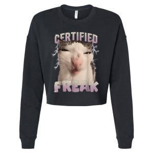 Meme Cat Certified Freak Eat Cement Cursed Cat Funny Cropped Pullover Crew