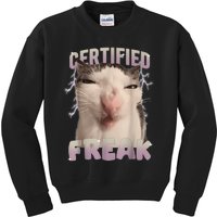 Meme Cat Certified Freak Eat Cement Cursed Cat Funny Kids Sweatshirt