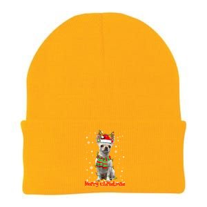 Merry Christmas Cute Chihuahua Dog Xmas Lights Pajama Meaningful Gift Knit Cap Winter Beanie