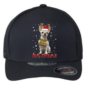 Merry Christmas Cute Chihuahua Dog Xmas Lights Pajama Meaningful Gift Flexfit Unipanel Trucker Cap