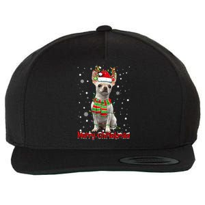 Merry Christmas Cute Chihuahua Dog Xmas Lights Pajama Meaningful Gift Wool Snapback Cap