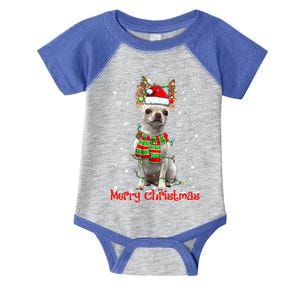 Merry Christmas Cute Chihuahua Dog Xmas Lights Pajama Meaningful Gift Infant Baby Jersey Bodysuit