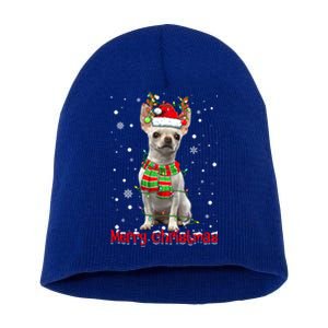 Merry Christmas Cute Chihuahua Dog Xmas Lights Pajama Meaningful Gift Short Acrylic Beanie