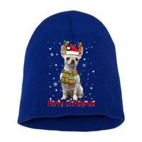 Merry Christmas Cute Chihuahua Dog Xmas Lights Pajama Meaningful Gift Short Acrylic Beanie