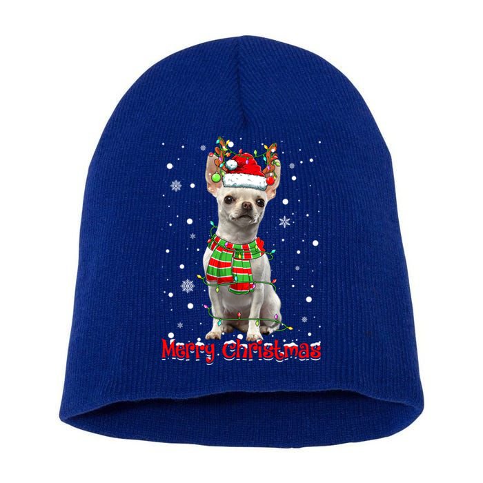 Merry Christmas Cute Chihuahua Dog Xmas Lights Pajama Meaningful Gift Short Acrylic Beanie