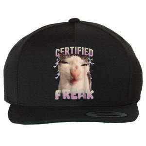 Meme Cat Certified Freak Eat Cement Cursed Cat Funny Wool Snapback Cap