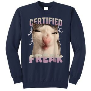 Meme Cat Certified Freak Eat Cement Cursed Cat Funny Tall Sweatshirt