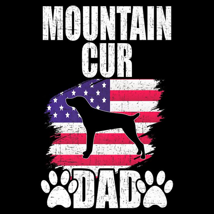 Mountain Cur Dad Dog Lover American Us Flag Premium Cooling Performance Crew T-Shirt