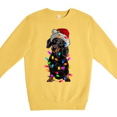 Merry Christmas Dachshund Santa Hat Lights Xmas Cute Gift Premium Crewneck Sweatshirt