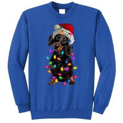 Merry Christmas Dachshund Santa Hat Lights Xmas Cute Gift Sweatshirt