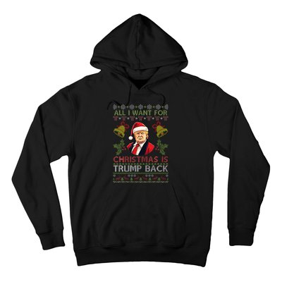 Merry Christmas Day Trump Back Ugly Xmas Noel Sweater Hoodie