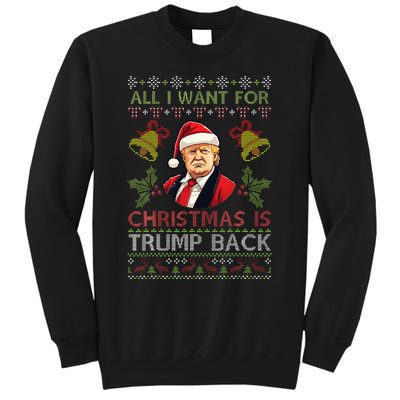 Merry Christmas Day Trump Back Ugly Xmas Noel Sweater Tall Sweatshirt