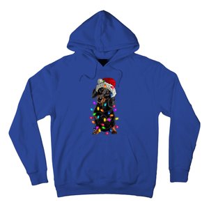 Merry Christmas Dachshund Santa Hat Lights Xmas Dog Lovers Gift Hoodie