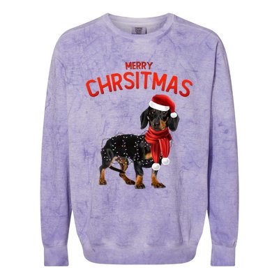 Merry Christmas Dachshund Dogs With Tree Christmas Lights Gift Colorblast Crewneck Sweatshirt