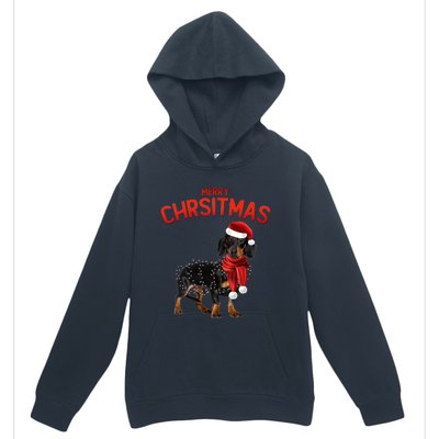 Merry Christmas Dachshund Dogs With Tree Christmas Lights Gift Urban Pullover Hoodie