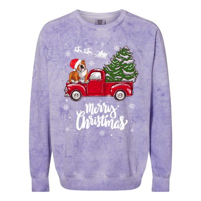 Merry Christmas English Bulldog Santa Red Truck Xmas Tree Gift Colorblast Crewneck Sweatshirt