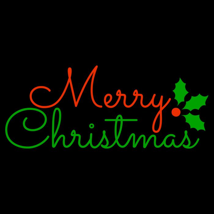 Merry Christmas Festive Logo Cropped Pullover Crew