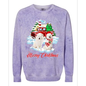 Merry Christmas Funny Santa Samoyed Dog Lover Christmas Colorblast Crewneck Sweatshirt