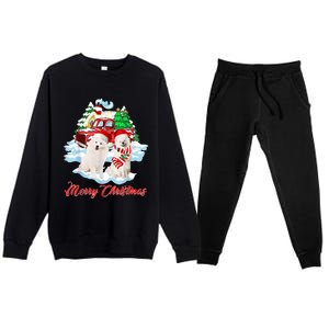 Merry Christmas Funny Santa Samoyed Dog Lover Christmas Premium Crewneck Sweatsuit Set