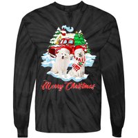 Merry Christmas Funny Santa Samoyed Dog Lover Christmas Tie-Dye Long Sleeve Shirt