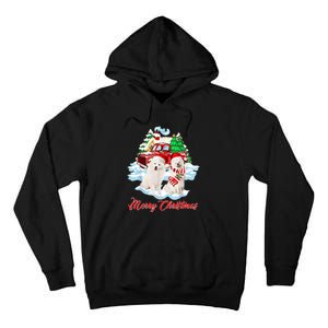 Merry Christmas Funny Santa Samoyed Dog Lover Christmas Tall Hoodie