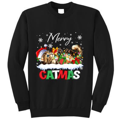 Merry Catmas Funny Cat Dad Cat Mom Christmas Cat Sweatshirt