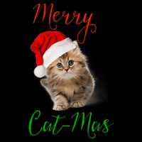 Merry Catmas Funny Christmas Holiday  Cat Kitten 16 in Basic Backpack