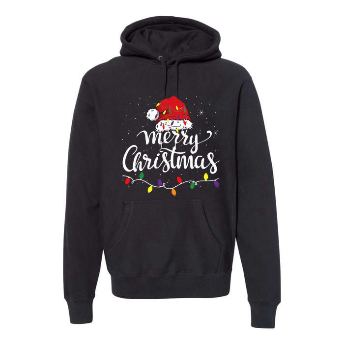 Merry Christmas Family Funny Christmas Premium Hoodie