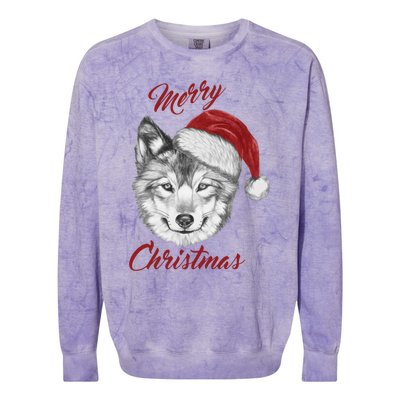 Merry Christmas Funny Wolf Face With Santa Hat Retro Xmas Gift Colorblast Crewneck Sweatshirt