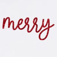 Merry Christmas Festive Family Matching Kids T-Shirt