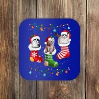 Meowy Catmas Funny Cats In Christmas Sock Pajamas Funny Gift Coaster