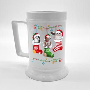 Meowy Catmas Funny Cats In Christmas Sock Pajamas Funny Gift Beer Stein