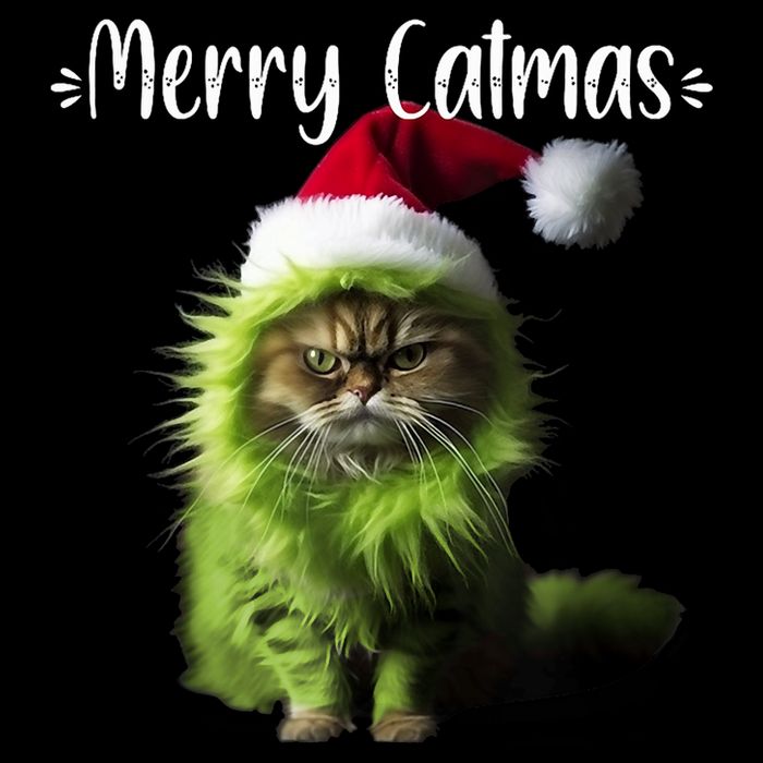 Merry Catmas Funny Cat Christmas Tank Top Stripe Pom Pom Beanie