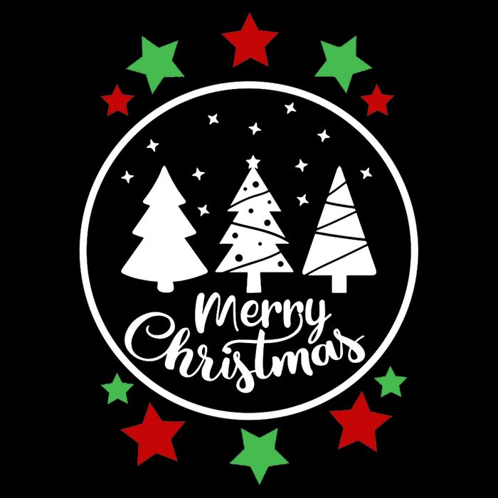 Merry Christmas Festive Circle Logo Apron