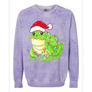 Merry Christmas Frog Santa Hat Lights Xmas Colorblast Crewneck Sweatshirt