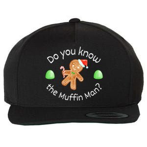 Merry Christmas Gingerbread Do You Know The Muffin Wool Snapback Cap