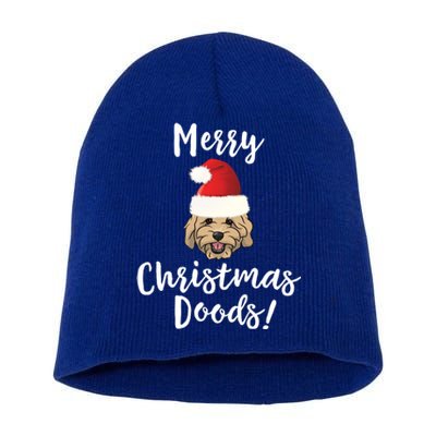 Merry Christmas Goldendoodle Funny Dog Gift Short Acrylic Beanie