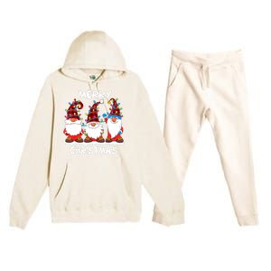 Merry Christmas Gnomes Lover Xmas Funny Santa Xmas Holiday Premium Hooded Sweatsuit Set