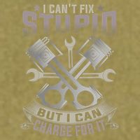 Mechanic Car Guy I Cant Fix Stupid But I Can Charge For It Garment-Dyed Women's Muscle Tee